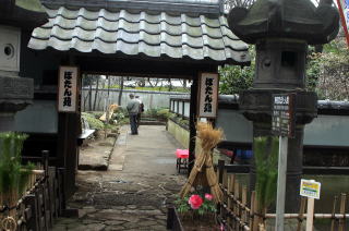 上野東照宮ぼたん苑