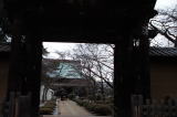 豪徳寺山門から