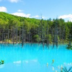 美瑛町の青い池
