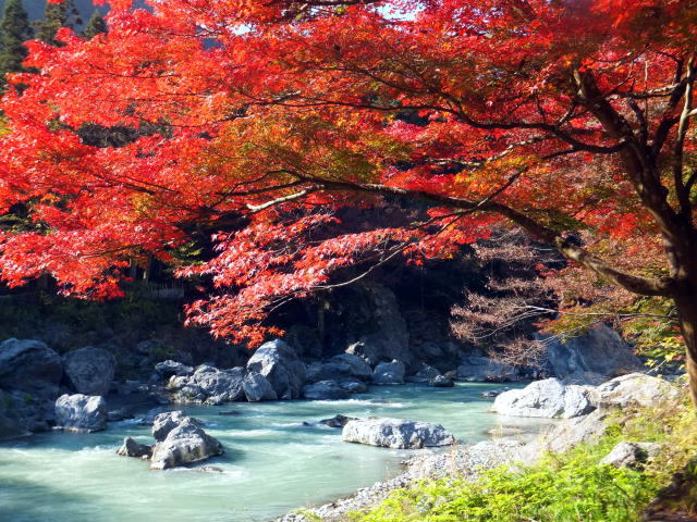 奥多摩で秋の紅葉が見られるおすすめの場所 秋川渓谷や奥多摩湖など Journal4